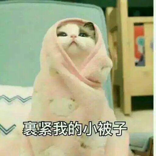 QQ圖片20170316085311