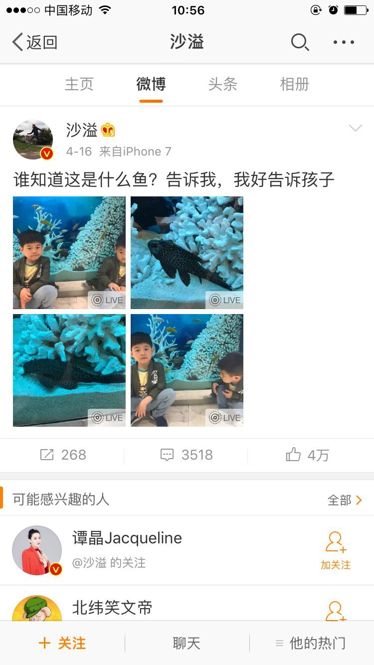 QQ圖片20170419105913